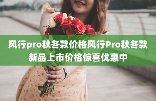 风行pro秋冬款价格风行Pro秋冬款新品上市价格惊喜优惠中