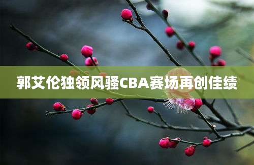 郭艾伦独领风骚CBA赛场再创佳绩