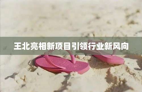 王北亮相新项目引领行业新风向