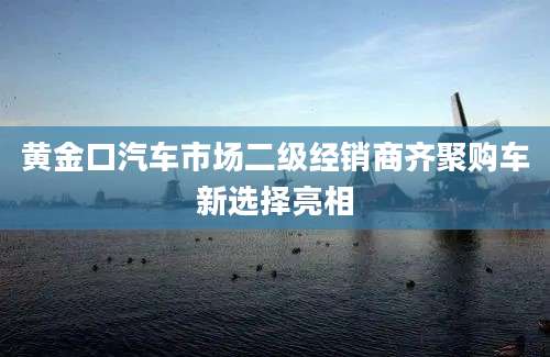 黄金口汽车市场二级经销商齐聚购车新选择亮相
