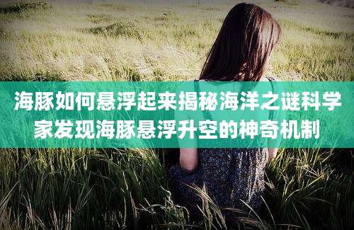 海豚如何悬浮起来揭秘海洋之谜科学家发现海豚悬浮升空的神奇机制