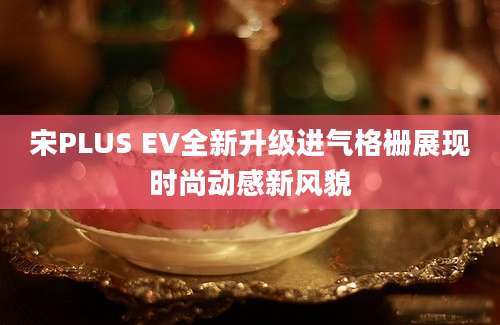 宋PLUS EV全新升级进气格栅展现时尚动感新风貌