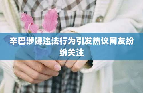 辛巴涉嫌违法行为引发热议网友纷纷关注