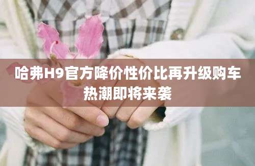 哈弗H9官方降价性价比再升级购车热潮即将来袭