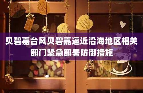 贝碧嘉台风贝碧嘉逼近沿海地区相关部门紧急部署防御措施