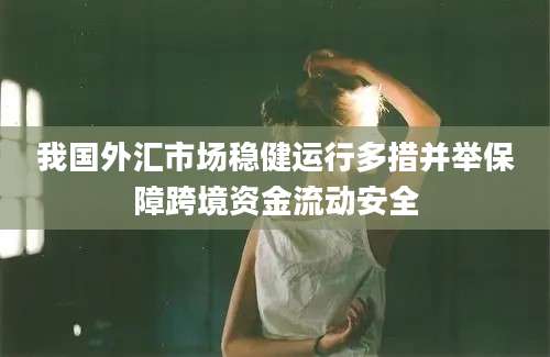 我国外汇市场稳健运行多措并举保障跨境资金流动安全