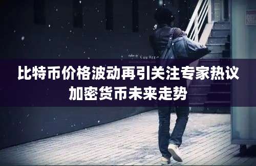 比特币价格波动再引关注专家热议加密货币未来走势