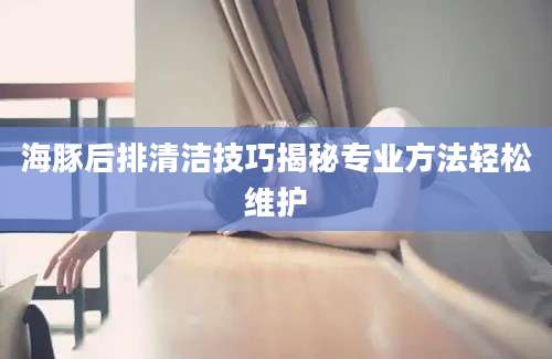 海豚后排清洁技巧揭秘专业方法轻松维护