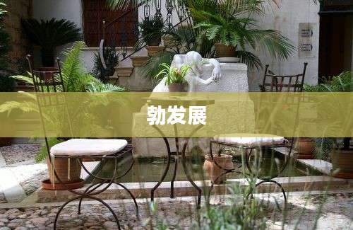勃发展