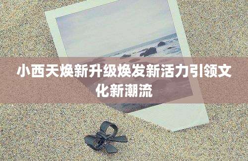 小西天焕新升级焕发新活力引领文化新潮流