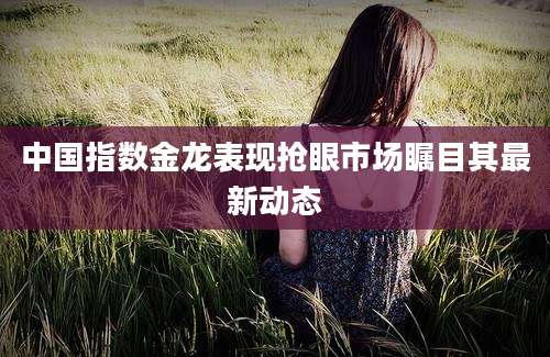 中国指数金龙表现抢眼市场瞩目其最新动态