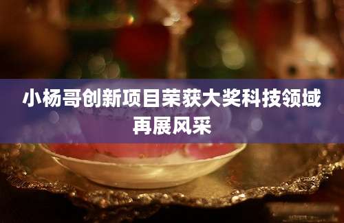 小杨哥创新项目荣获大奖科技领域再展风采