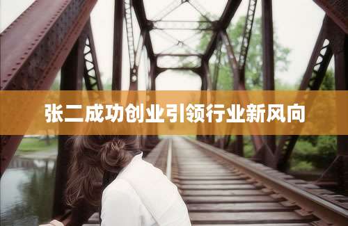 张二成功创业引领行业新风向