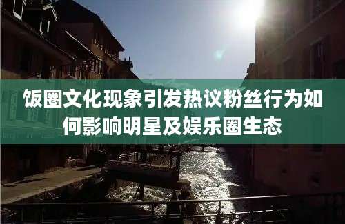 饭圈文化现象引发热议粉丝行为如何影响明星及娱乐圈生态