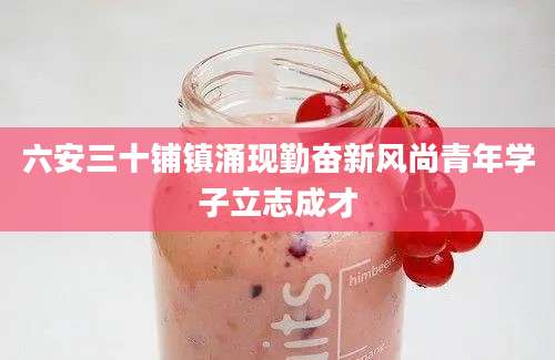 六安三十铺镇涌现勤奋新风尚青年学子立志成才