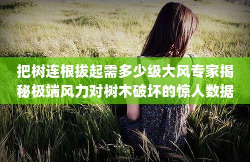 把树连根拔起需多少级大风专家揭秘极端风力对树木破坏的惊人数据