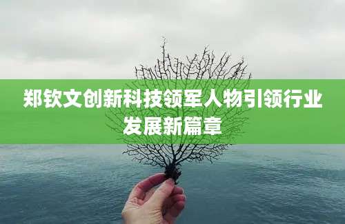 郑钦文创新科技领军人物引领行业发展新篇章