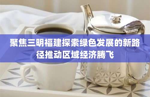 聚焦三明福建探索绿色发展的新路径推动区域经济腾飞