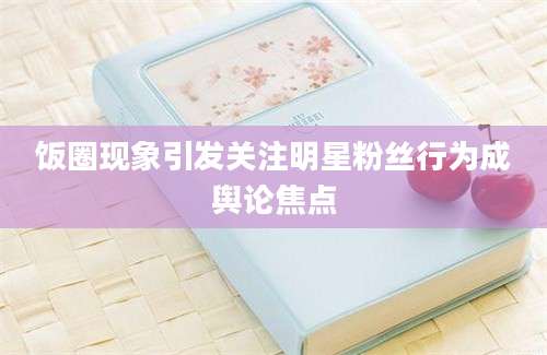 饭圈现象引发关注明星粉丝行为成舆论焦点