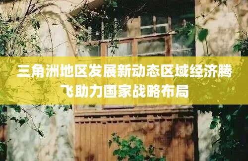 三角洲地区发展新动态区域经济腾飞助力国家战略布局