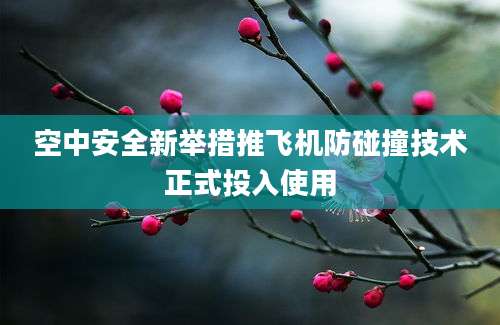 空中安全新举措推飞机防碰撞技术正式投入使用