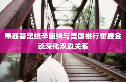 墨西哥总统辛鲍姆与美国举行重要会谈深化双边关系