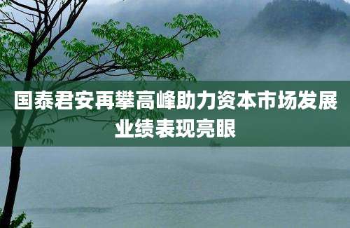 国泰君安再攀高峰助力资本市场发展业绩表现亮眼