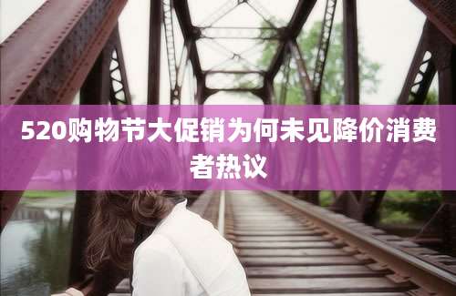 520购物节大促销为何未见降价消费者热议