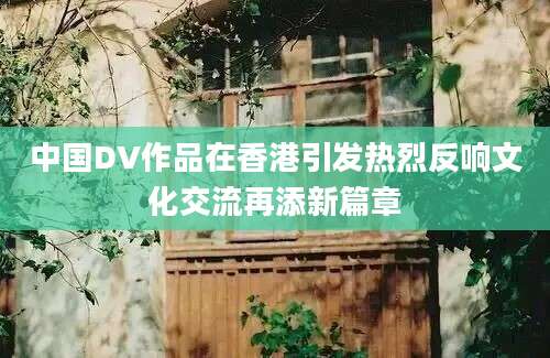 中国DV作品在香港引发热烈反响文化交流再添新篇章
