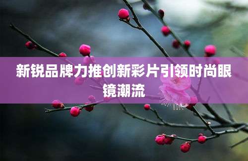 新锐品牌力推创新彩片引领时尚眼镜潮流