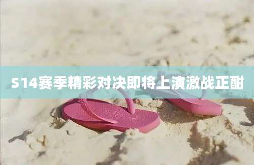 S14赛季精彩对决即将上演激战正酣