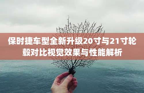保时捷车型全新升级20寸与21寸轮毂对比视觉效果与性能解析