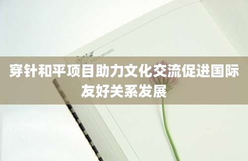 穿针和平项目助力文化交流促进国际友好关系发展