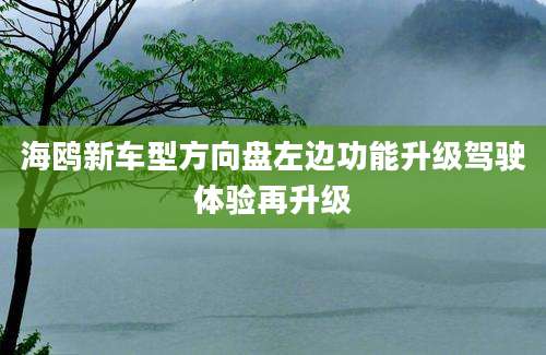 海鸥新车型方向盘左边功能升级驾驶体验再升级