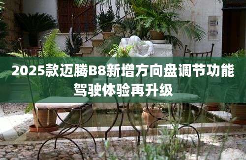 2025款迈腾B8新增方向盘调节功能驾驶体验再升级