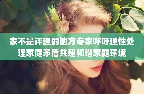 家不是评理的地方专家呼吁理性处理家庭矛盾共建和谐家庭环境