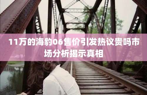 11万的海豹06售价引发热议贵吗市场分析揭示真相