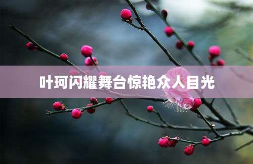 叶珂闪耀舞台惊艳众人目光