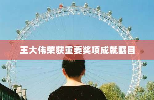 王大伟荣获重要奖项成就瞩目