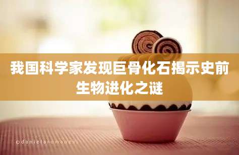 我国科学家发现巨骨化石揭示史前生物进化之谜