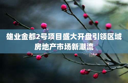 雄业金都2号项目盛大开盘引领区域房地产市场新潮流
