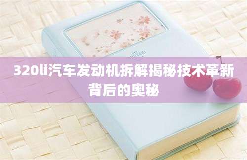 320li汽车发动机拆解揭秘技术革新背后的奥秘