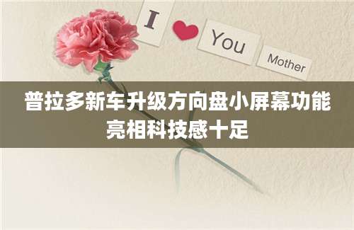 普拉多新车升级方向盘小屏幕功能亮相科技感十足