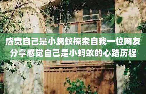 感觉自己是小蚂蚁探索自我一位网友分享感觉自己是小蚂蚁的心路历程