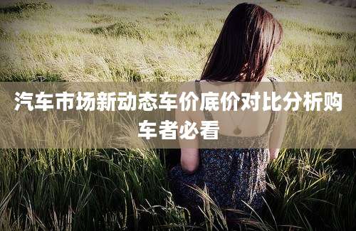 汽车市场新动态车价底价对比分析购车者必看