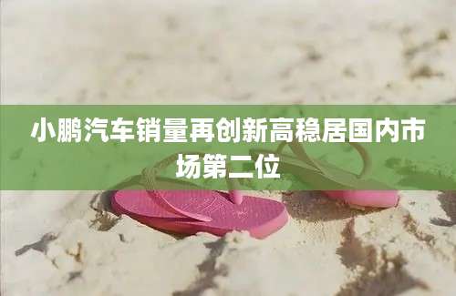 小鹏汽车销量再创新高稳居国内市场第二位