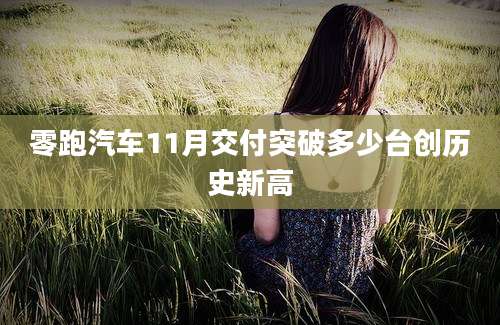 零跑汽车11月交付突破多少台创历史新高