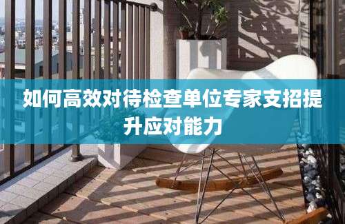 如何高效对待检查单位专家支招提升应对能力