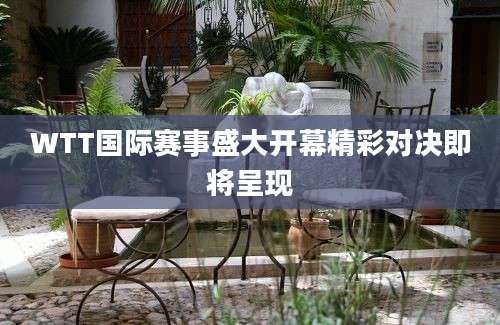 WTT国际赛事盛大开幕精彩对决即将呈现