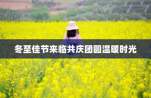 冬至佳节来临共庆团圆温暖时光